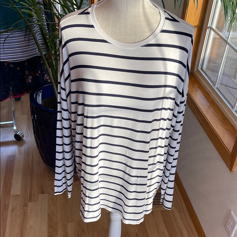 GAP Navy and White Striped Long Sleeve Tee